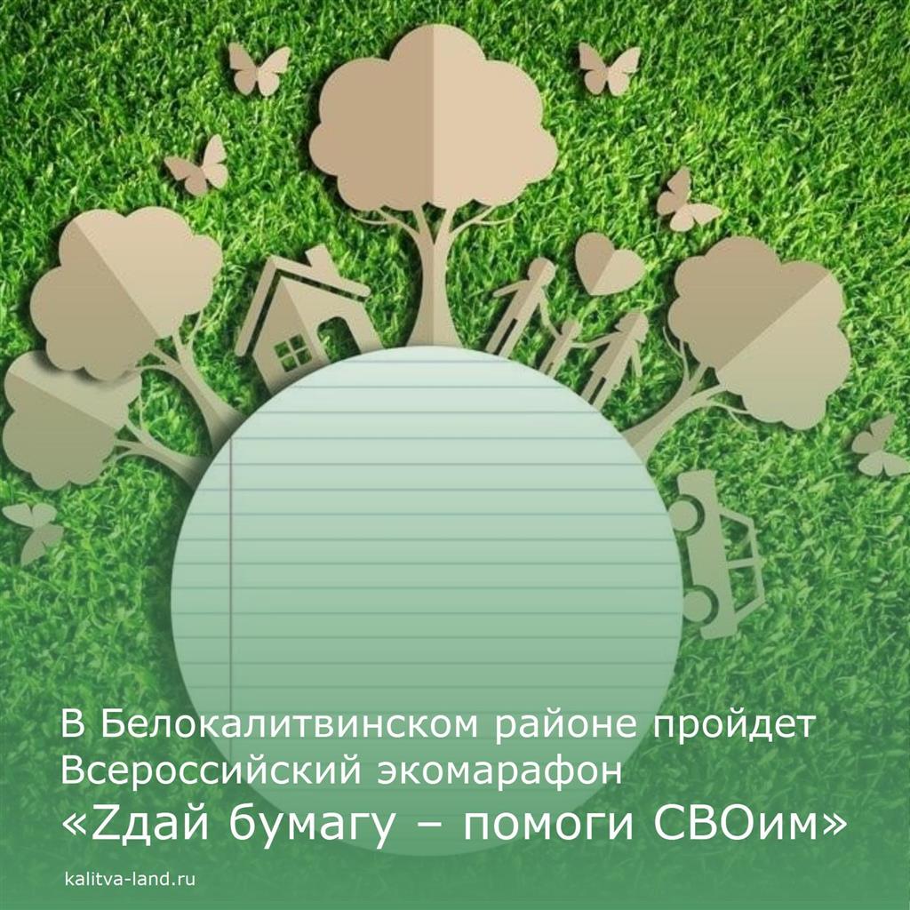 Эко-марафон в Белокалитвинском районе: помощь бойцам СВО