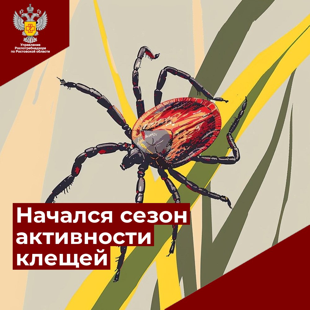 Управление Роспотребнадзора по Ростовской области информирует о начале сезона активности клещей
