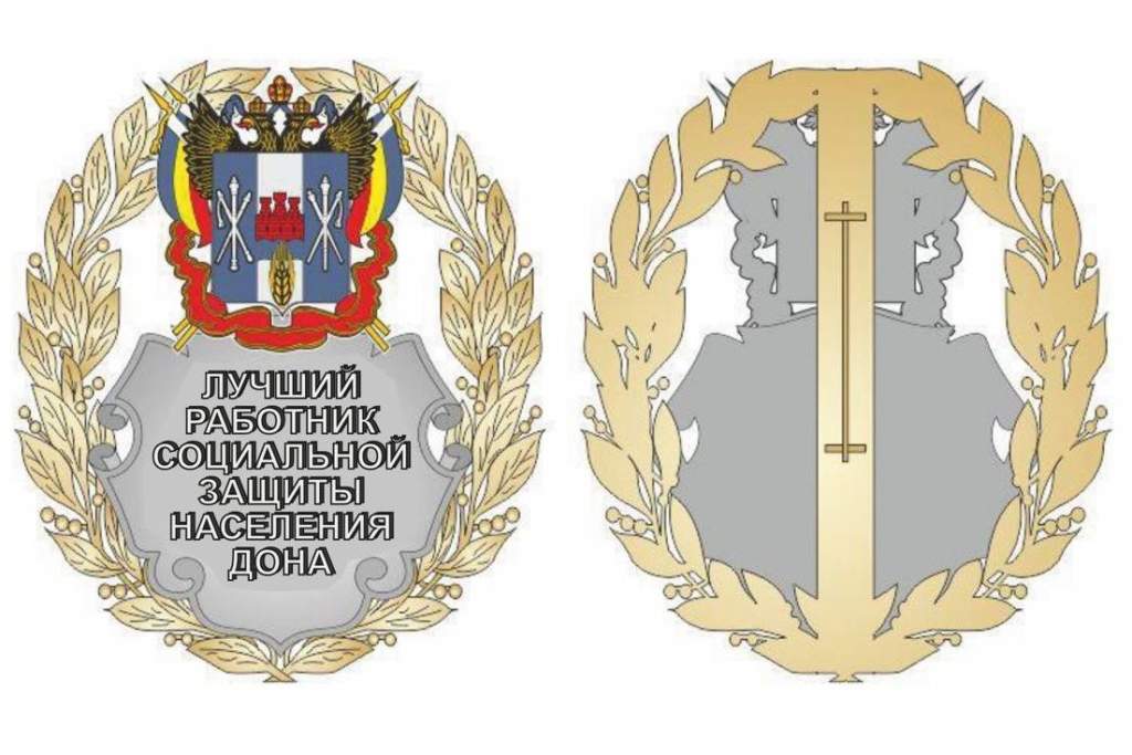 В Ростовской утвердили новое почётное звание лучшим работникам соцзащиты