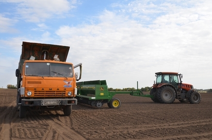 Белокалитвинский район: посевная кампания в разгаре