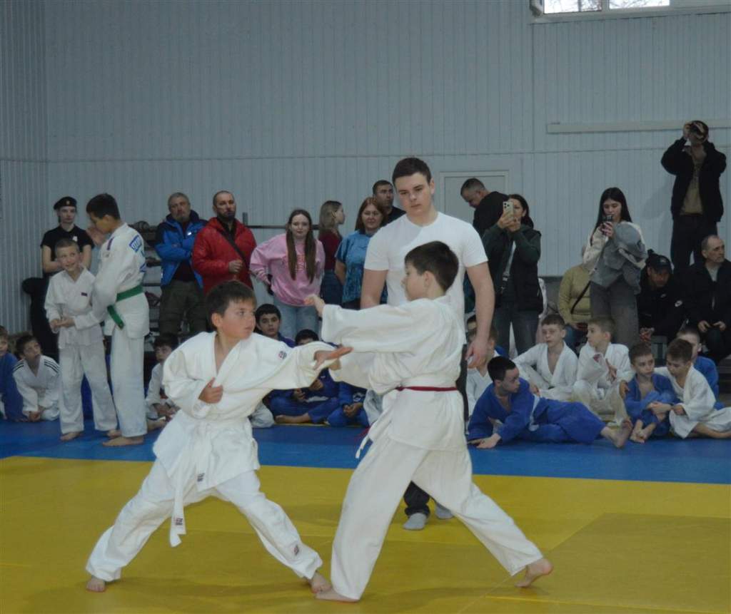 Турнир по дзюдо в Белой Калитве: память о герое Иване Кононове