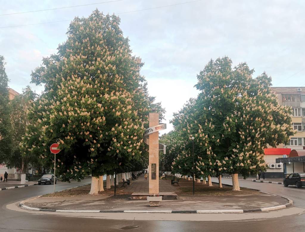 Стали известны фавориты голосования за объекты благоустройства в Ростовской области