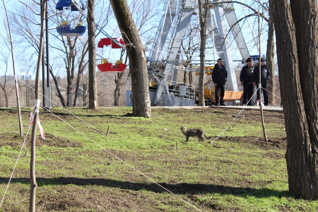 Николай Тимошенко о произошедшем в парке им. Маяковского: «Это личный конфликт»