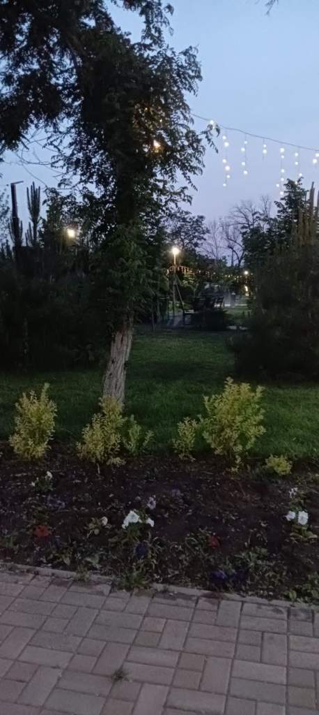 Ситуация: сбили светильники забавы ради