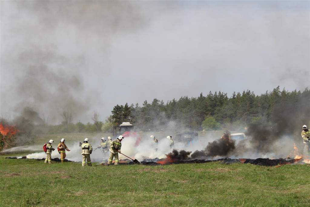 Ограничение пребывания в лесах Ростовской области продлено