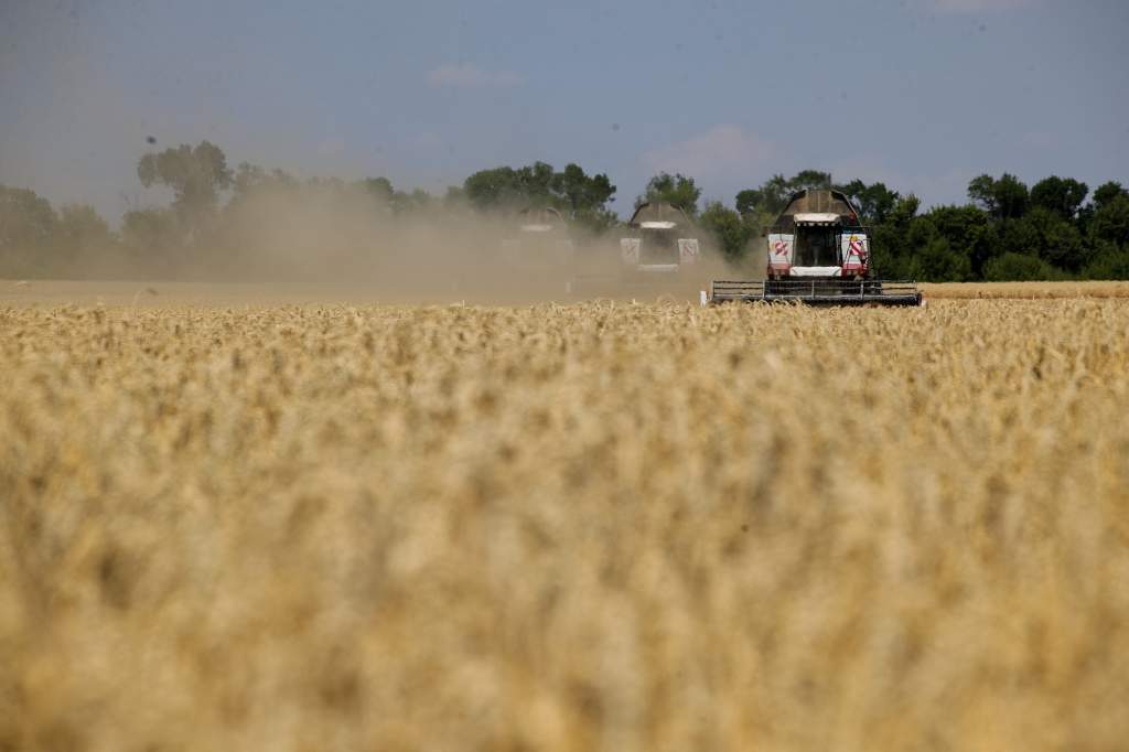 Донские аграрии собрали 1,75 млн тонн зерна нового урожая