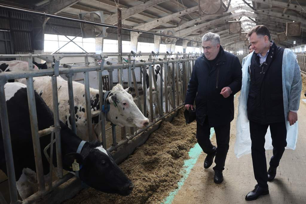 Юрий Слюсарь поручил минсельхозу разработать дополнительные меры поддержки донских животноводов