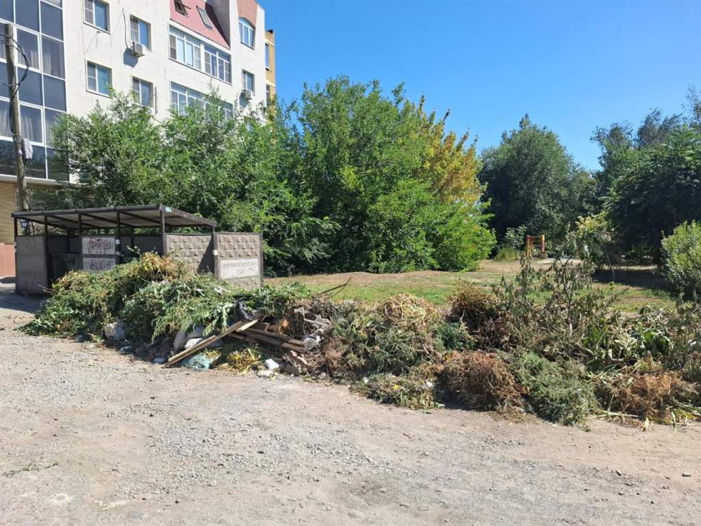 Больше никаких веток и шин: новые правила обращения с ТКО