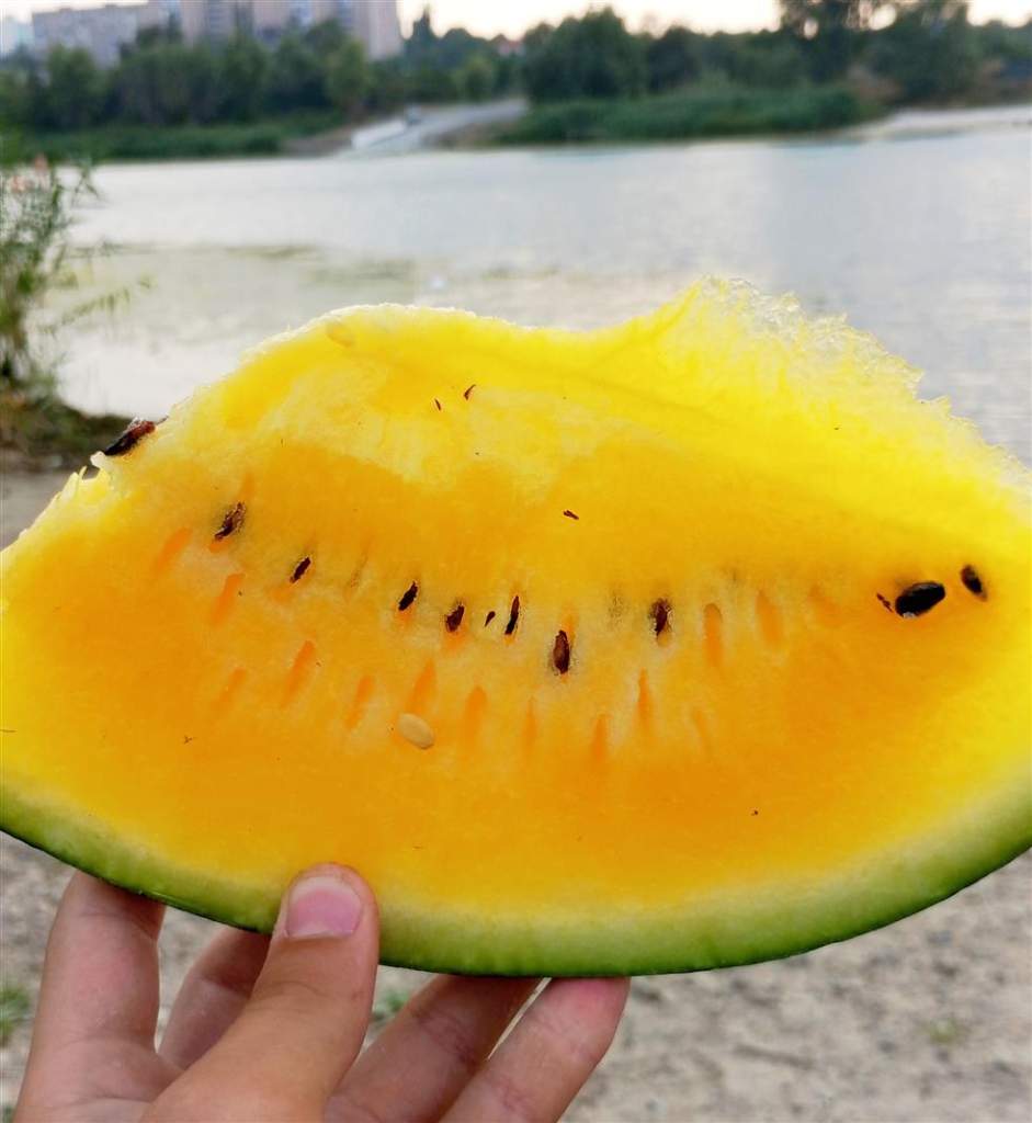 Белокалитвинский рынок и цены: арбузы бывают разные