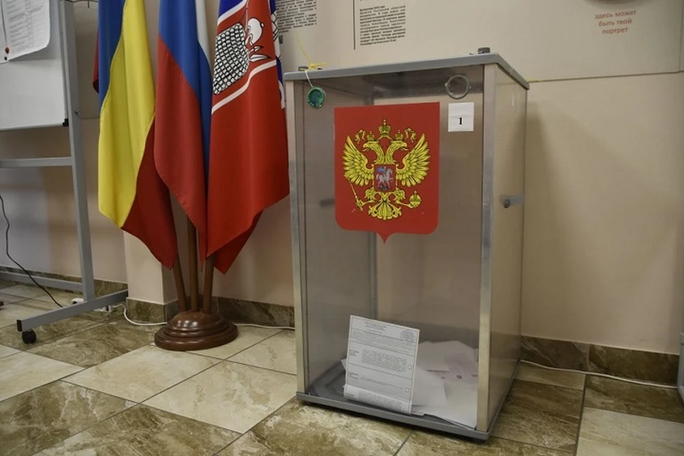 Выборы в Ростовской области проходят в штатном режиме и без нарушений