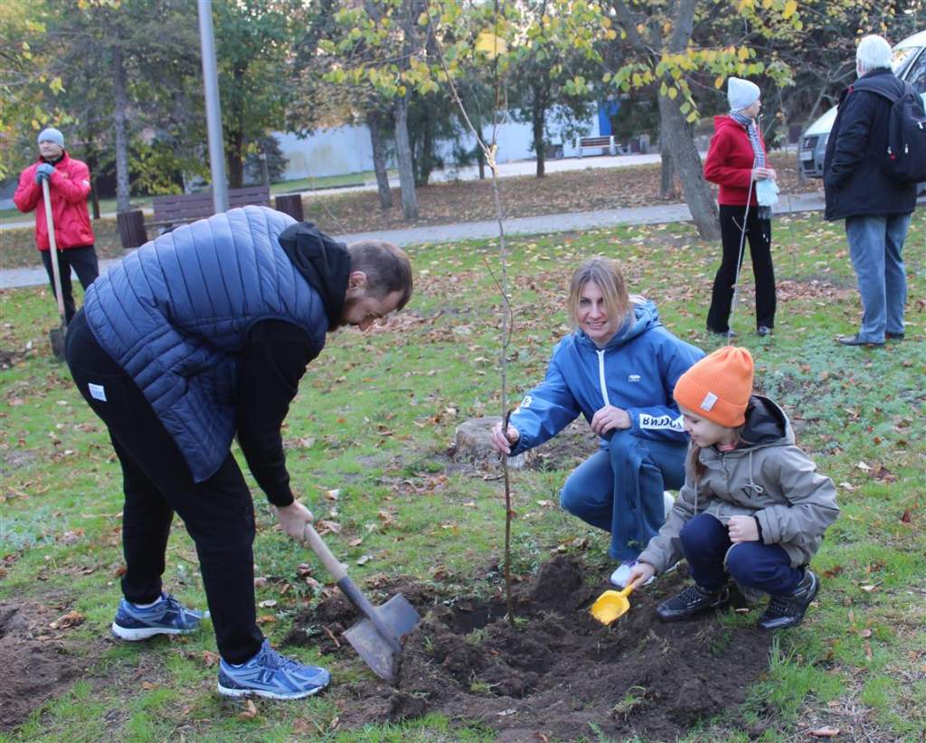 Белокалитвинцы внесли свой вклад в озеленение и чистоту родного края