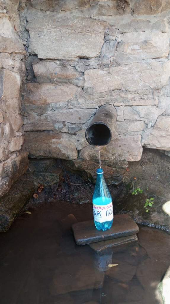 Исчезновение родников: причины и пути решения проблемы