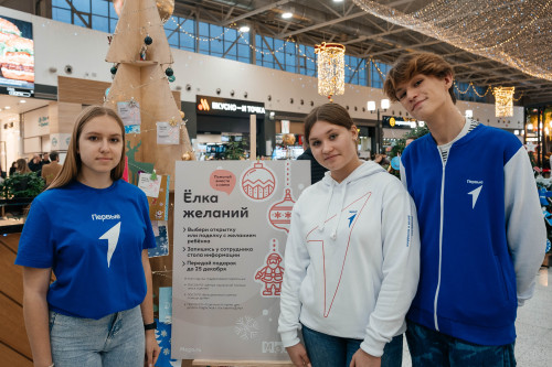 «Елка желаний» приглашает жителей Дона исполнить новогодние мечты детей