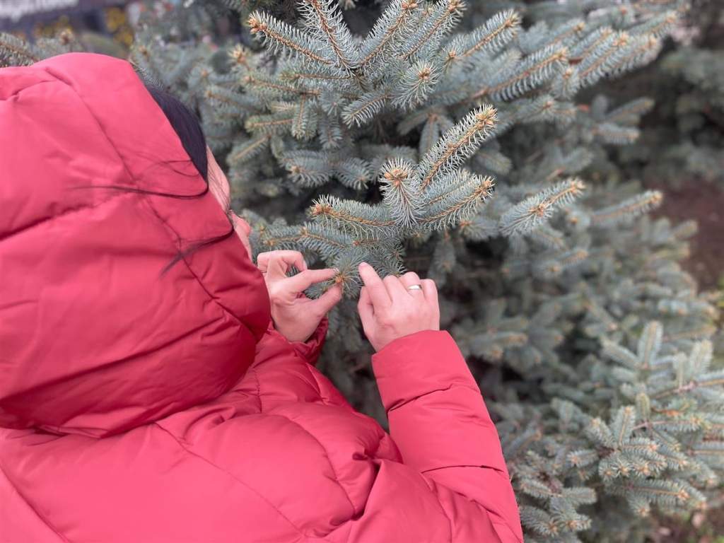 Готовимся к Новому году: секреты идеальной елки