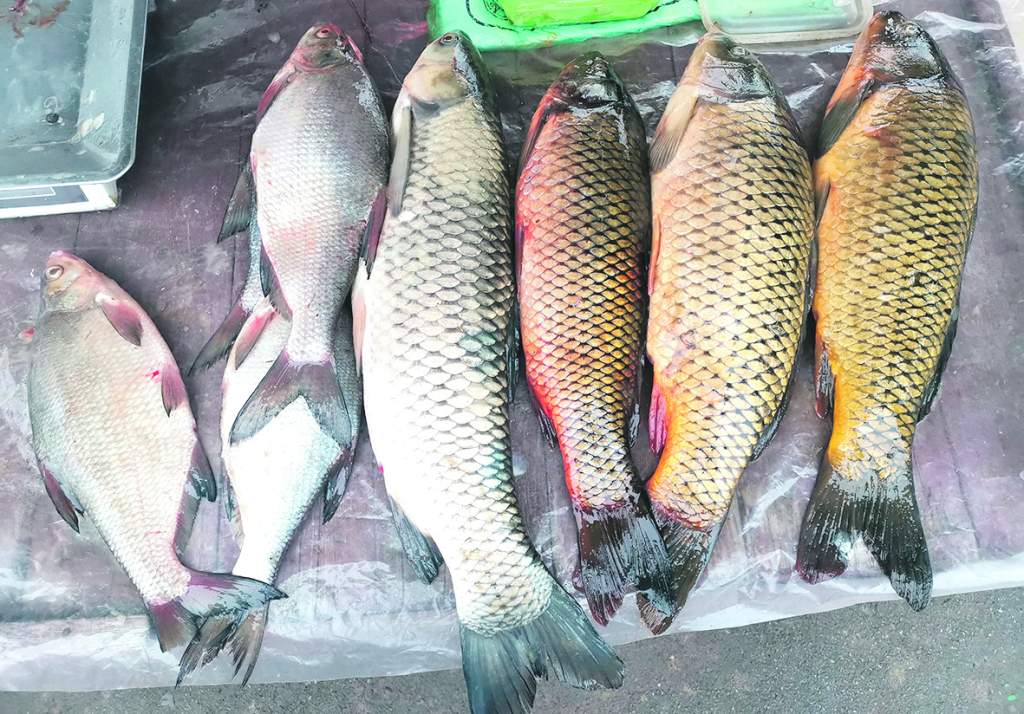 Опасности уличной торговли: риски для здоровья и штрафы