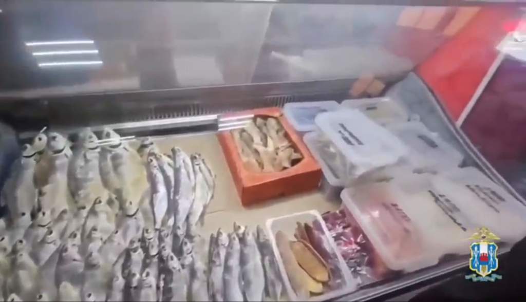 Изъятие более 100 кг красной икры и раков, пресечение незаконного вылова рыб: результаты операции «Путина-2026» за первые сутки